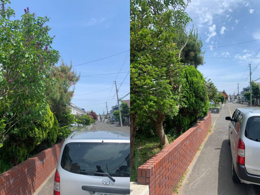 北海道小樽市【戸建リフォーム】松の木の剪定-img